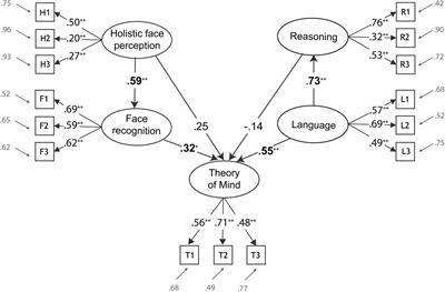 The Two-Systems Account of Theory of Mind: Testing the Links to Social- Perceptual and Cognitive Abilities